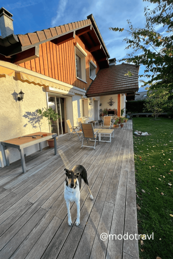 Robi en su casa, una de las mascotas que cuidaron Nano y Nare en Annecy, Francia.